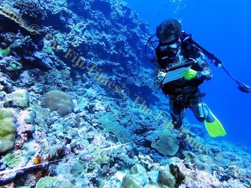 A Wildlife Conservation Society and Vatuvara Foundation personnel carries out a survey in the northern waters in Lau. Picture: SUPPLIED