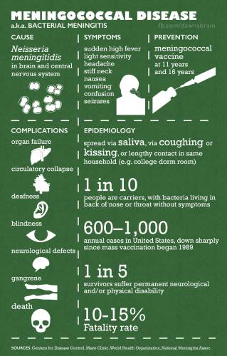 Meningococcal disease as explained by the World Health Organisation. Picture: WHO