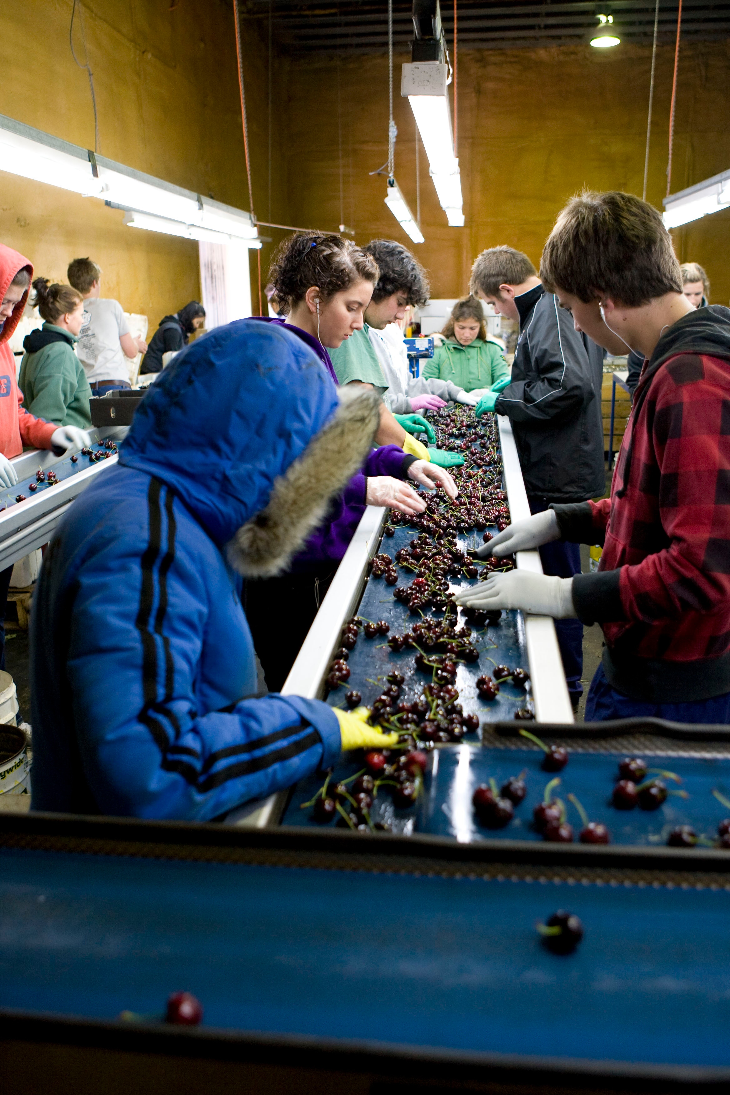 Who are Australia's seasonal workers? The Fiji Times