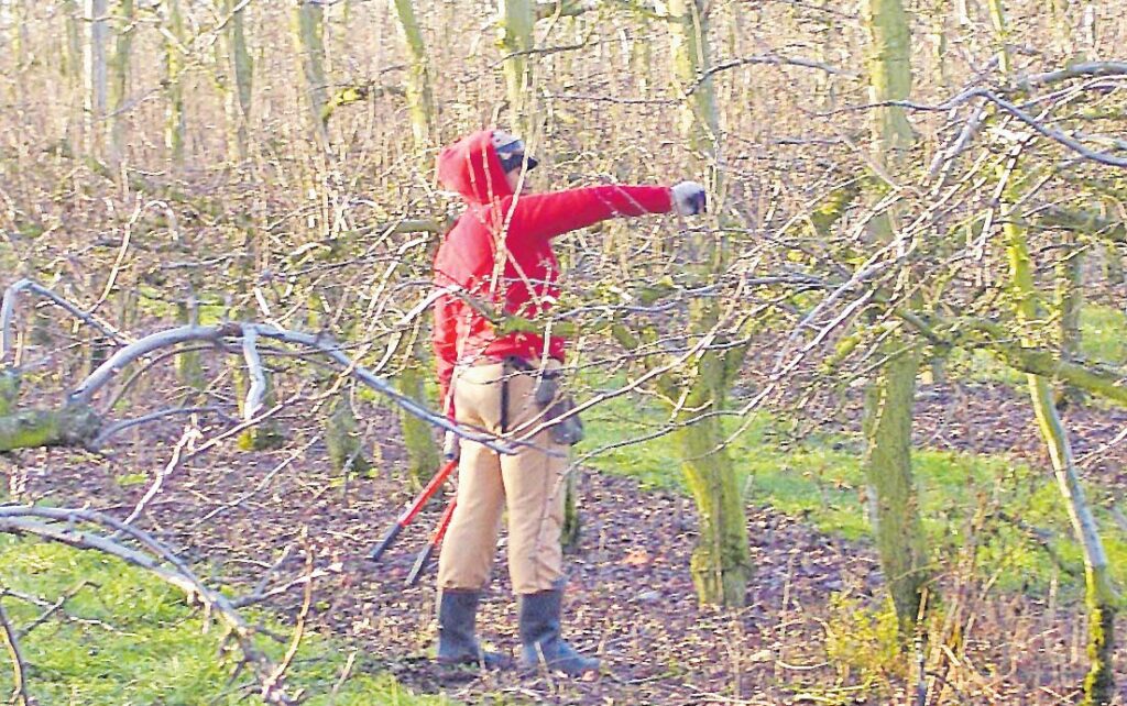 Seasonal workers Social and economic impacts The Fiji Times