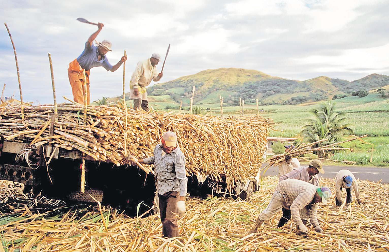 Cane payment to bring relief The Fiji Times