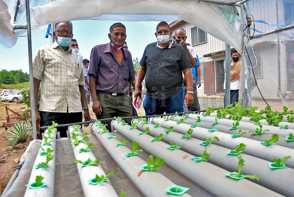 Model farm to assist farmers - The Fiji Times