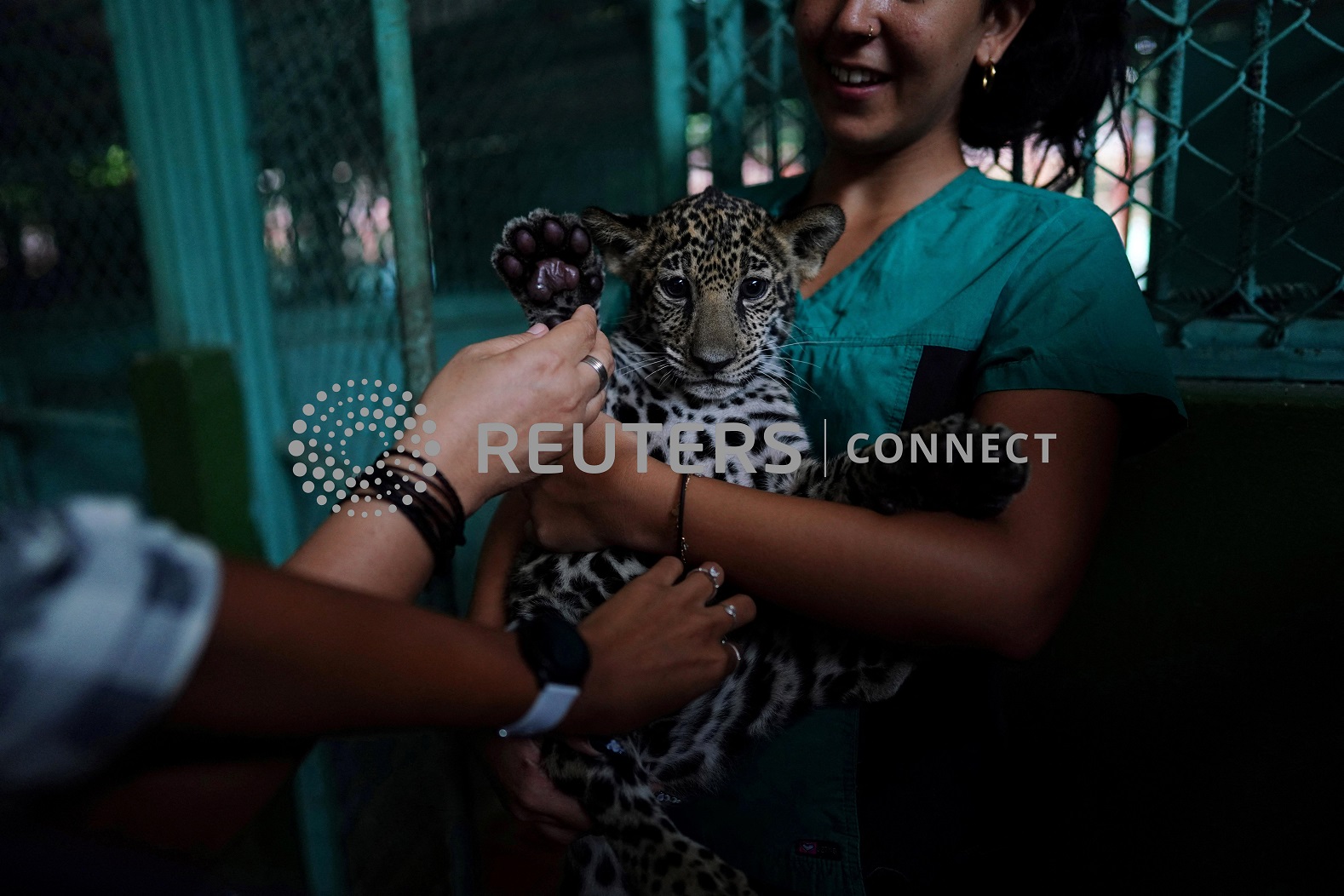 Cuban zoo helps deaf visitors experience the wild - The Fiji Times