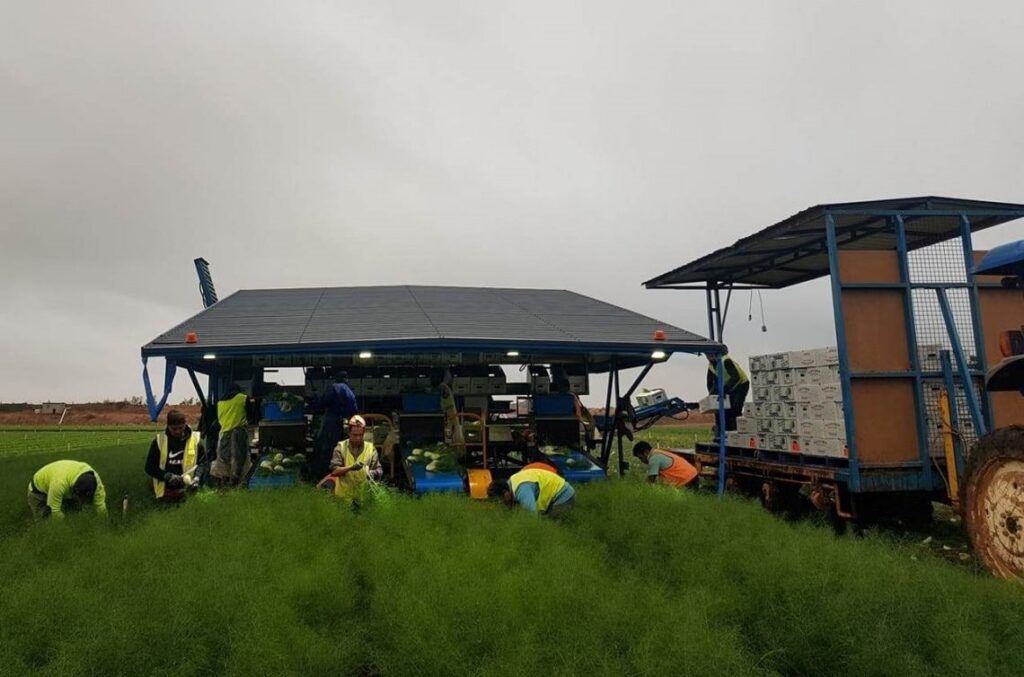 Brain drain General solution for the Pacific The Fiji Times