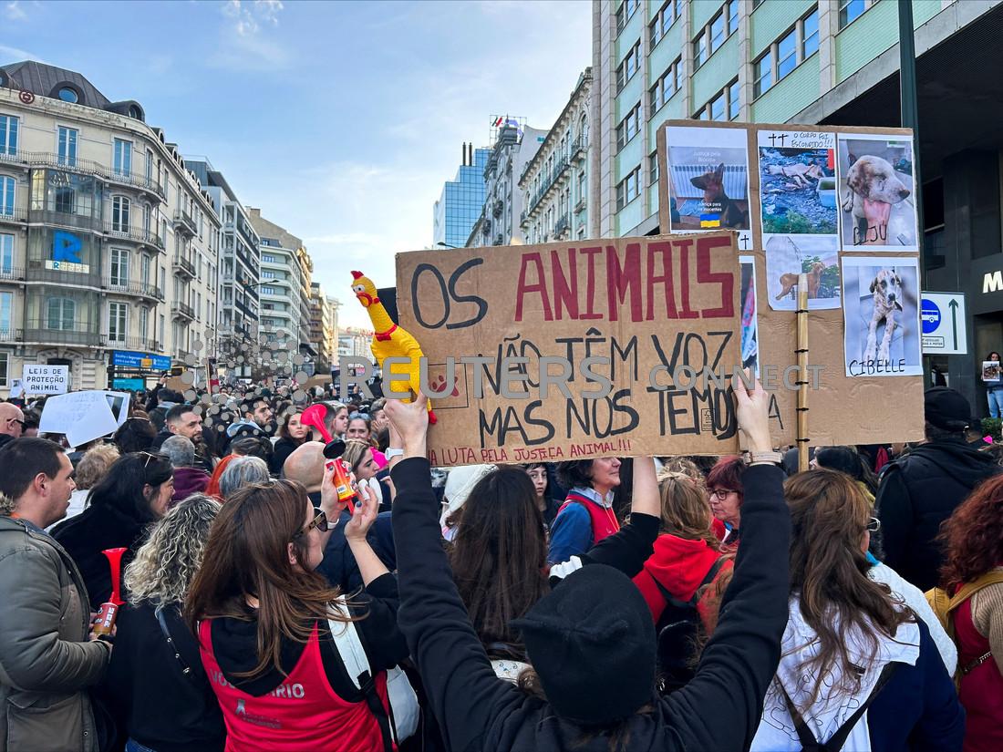 Thousands protest in Lisbon for animal rights amid constitutional dispute