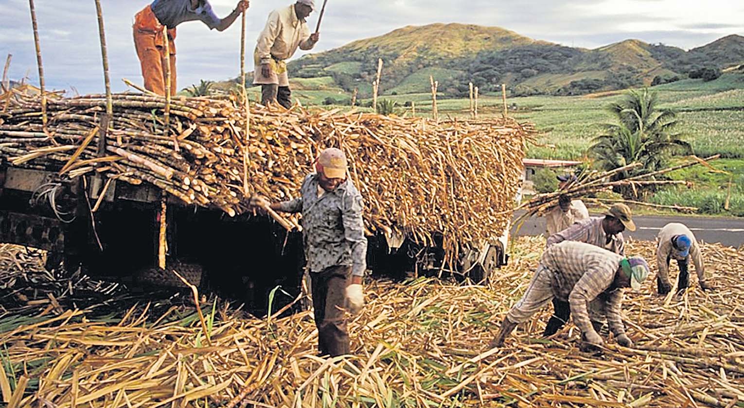 The 3-legged sugar industry