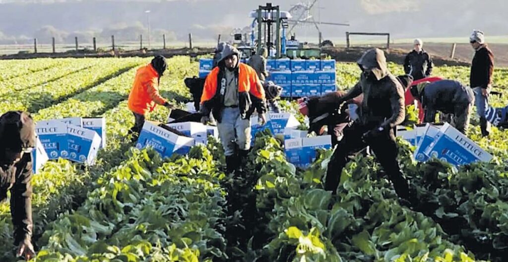 remittances-surging-the-fiji-times