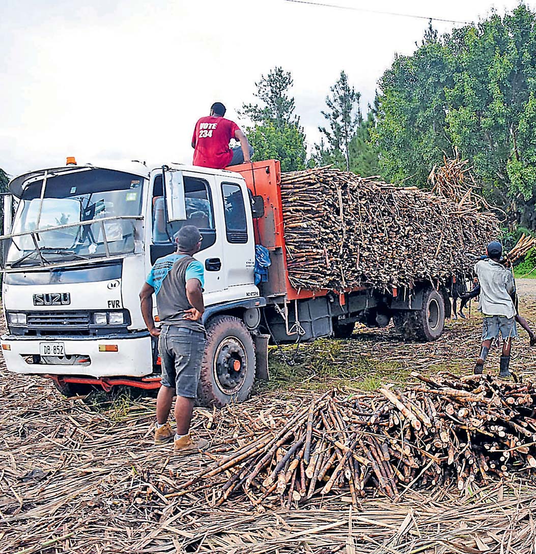 Industry takes firm stance on sugar cultivation The Fiji Times