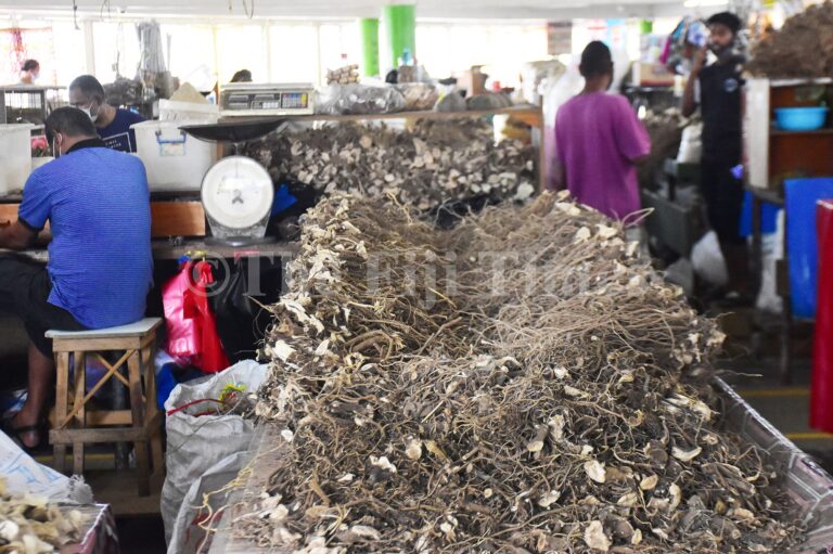 Americans are beginning to discover the benefi ts of kava and as a soothing, prosocial drink that they can have with friends at kava bars or at home with their families. Picture: FILE.