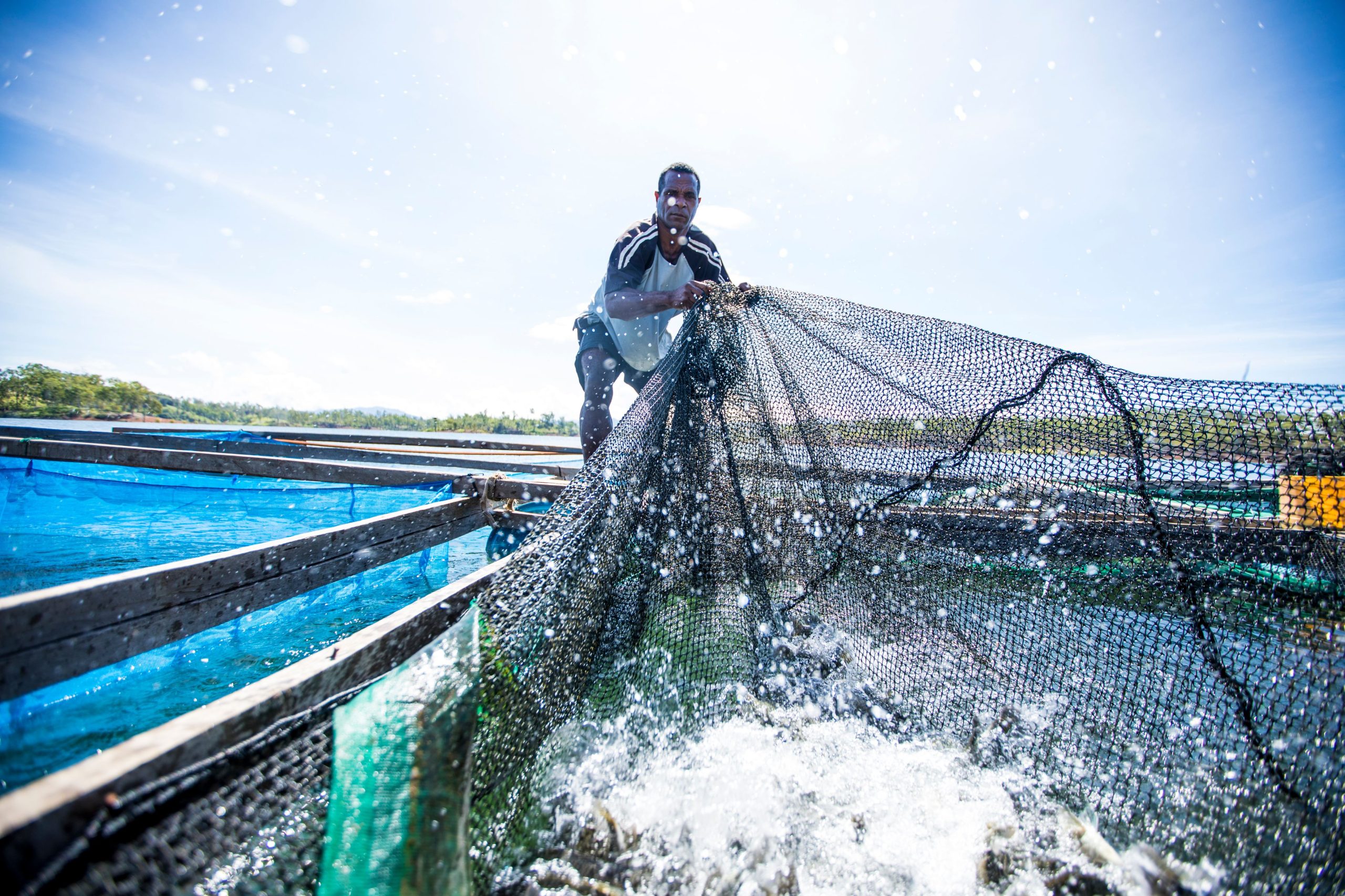 Awaken new depths | Safeguarding ocean health in the blue