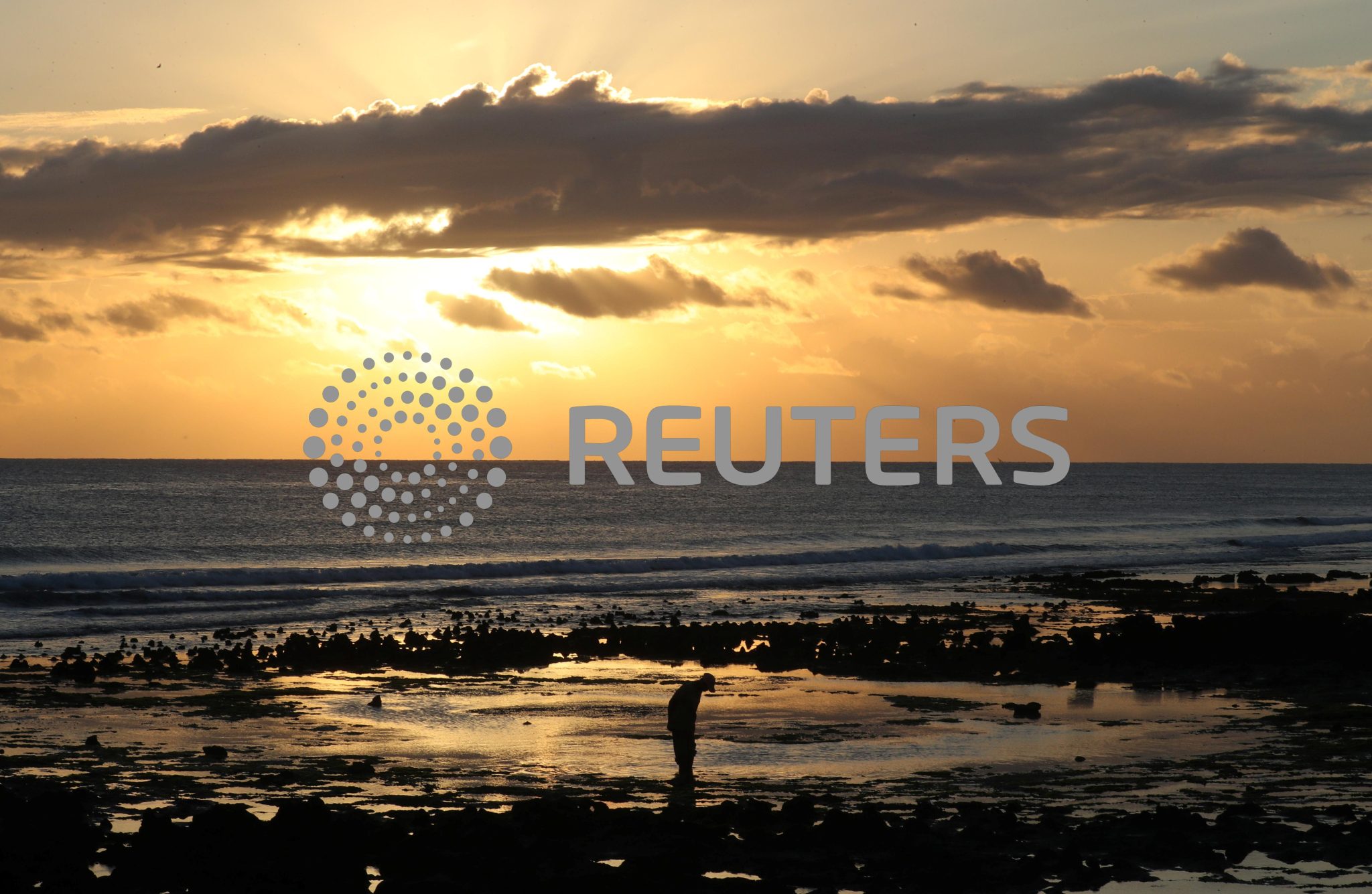 African countries eye world’s first joint 'debtfornature' swap The