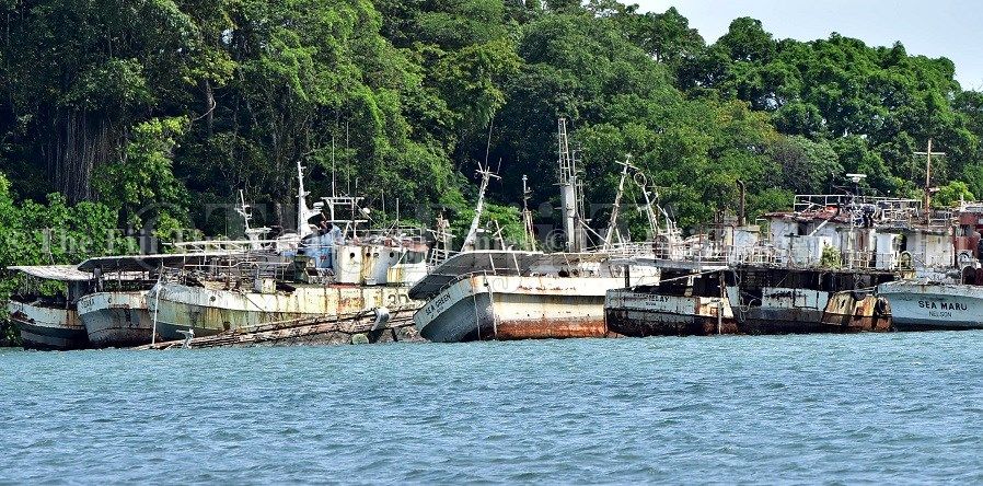 Letters to the Editor | January 8, 2025 – The Fiji Times