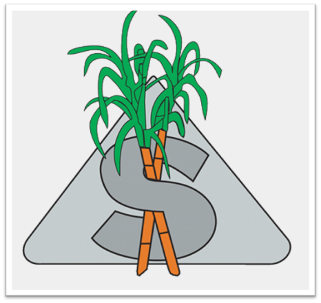 The Sugar Cane Growers' Fund (SCGF) Loyalty Program, an initiative that offers discount on healthcare services to active cane growers in Fiji. Picture: SUPPLIED