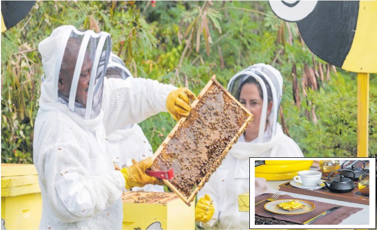 Beekeeper Simione Neirube, left, attends to a hive at one of Intercontentals’ many bee hives .... Insert: High tea as part of bee-happy experience. Picture: SUPPLIED / IHG.