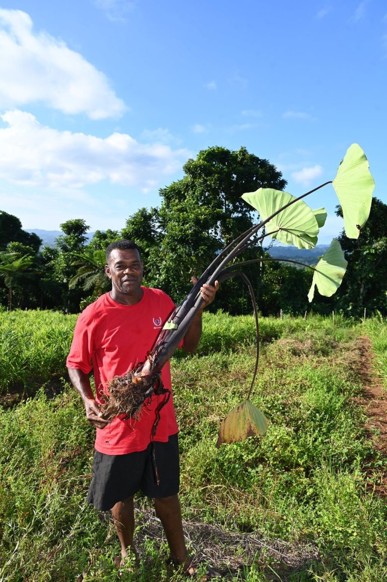 PEOPLE | Joseva's journey through farming - The Fiji Times