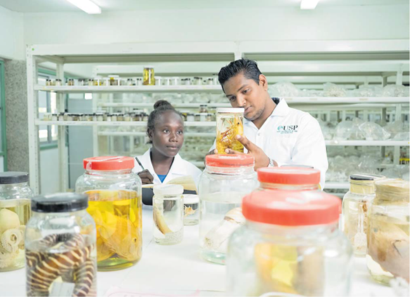 USP is proud to announce its appointment as vice-chair of the United Nations Academic Impact (UNAI) SDG14 Hub. Picture: SUPPLIED