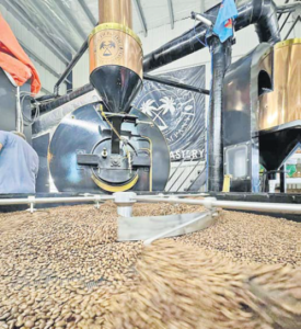 South Pacific Coffee Company takes pride in its roastingprocess ensuring that every bean is treated with care to
bring out its best qualities. Picture: SUPPLIED