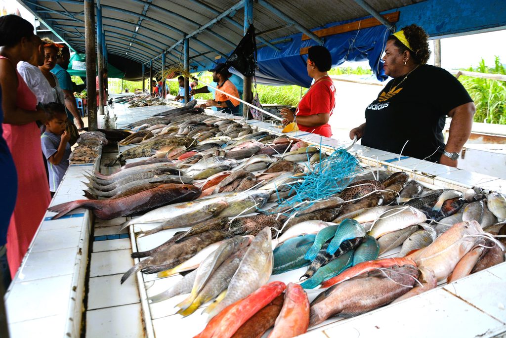 VERE’S TAKE | Fish ban on kawakawa and donu – The Fiji Times