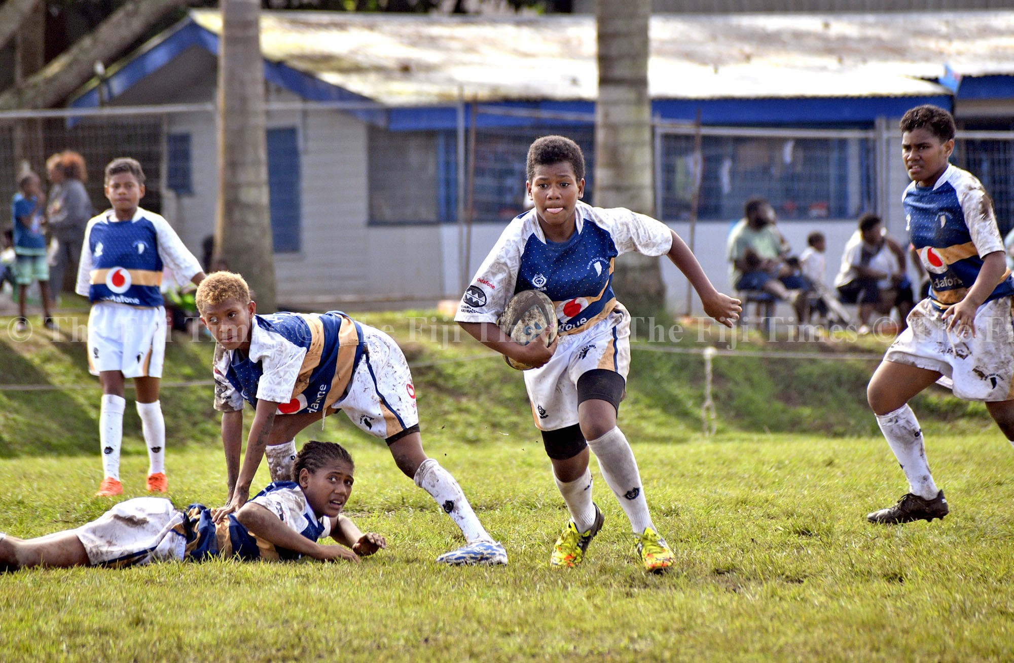 Kaji rugby - online 01