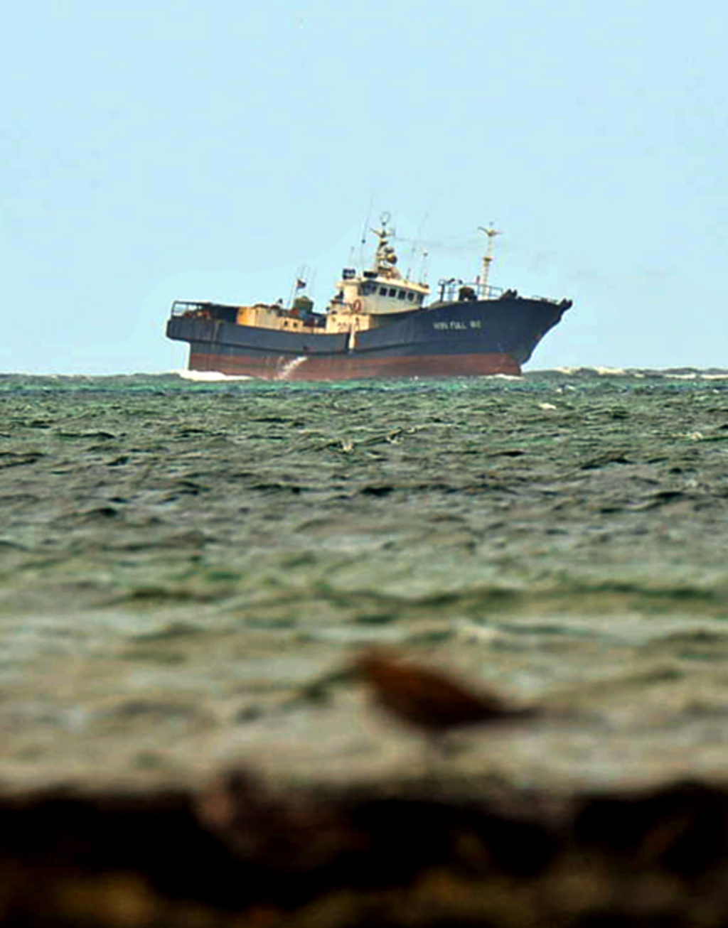 SHIPPING TIMES | Marine protection symposium