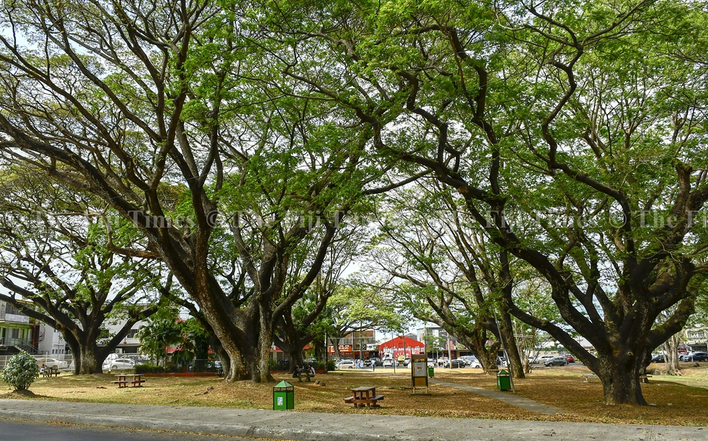 Outcry over park project