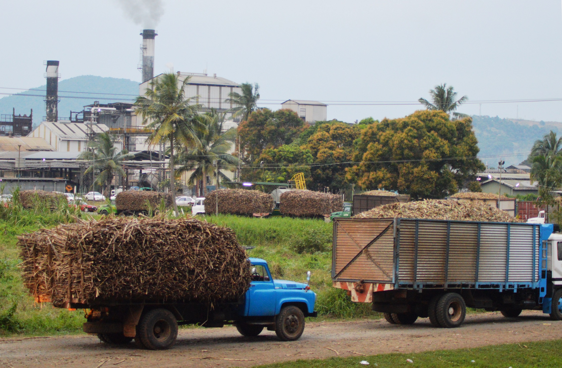 In Parliament today, MPs to debate $100M loan guarantee for FSC