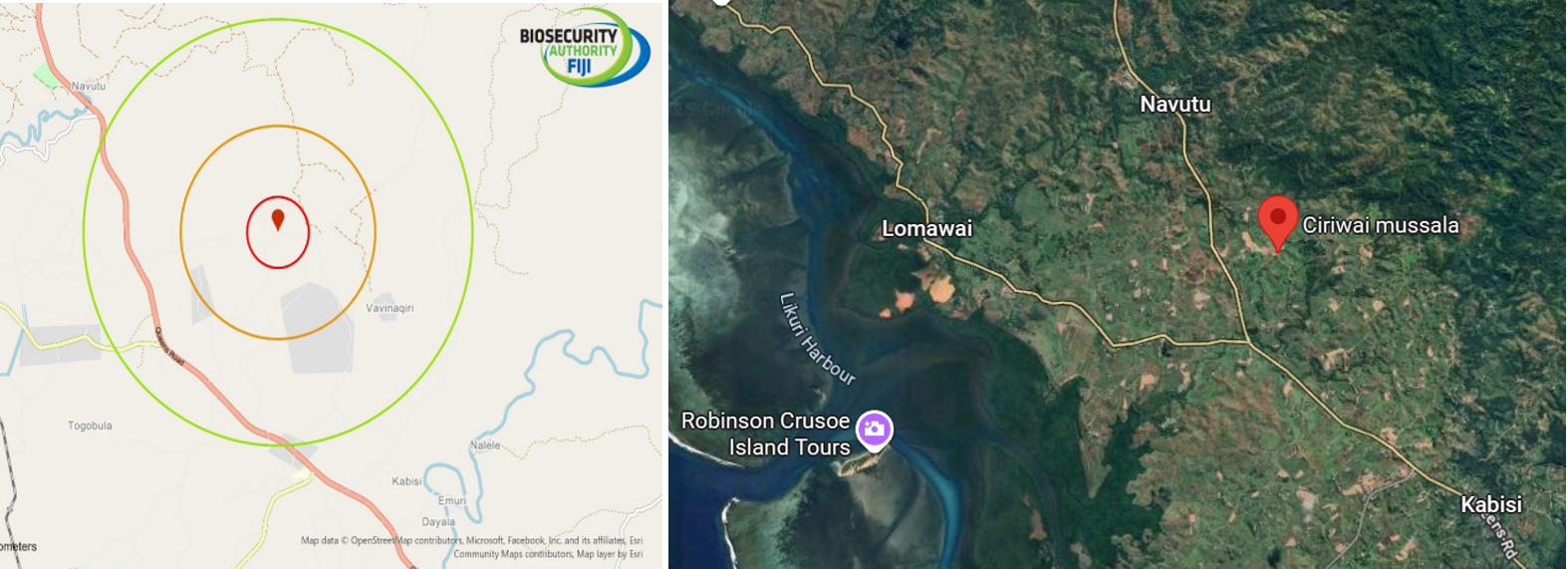 Ciriwai, Sigatoka declared biosecurity emergency area after termite outbreak