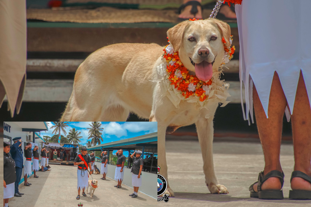 Fiji Police see retirement of K9 Tiny