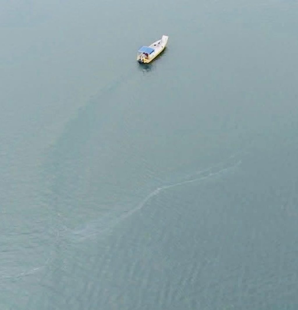 SHIPPING TIMES | Oil spill inspection