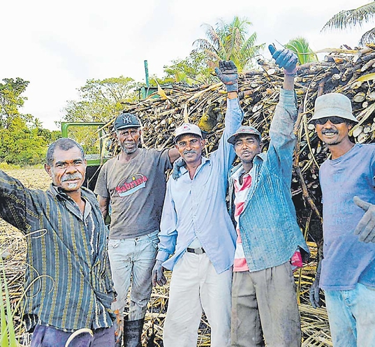OPINION | Fiji’s sugar industry crisis