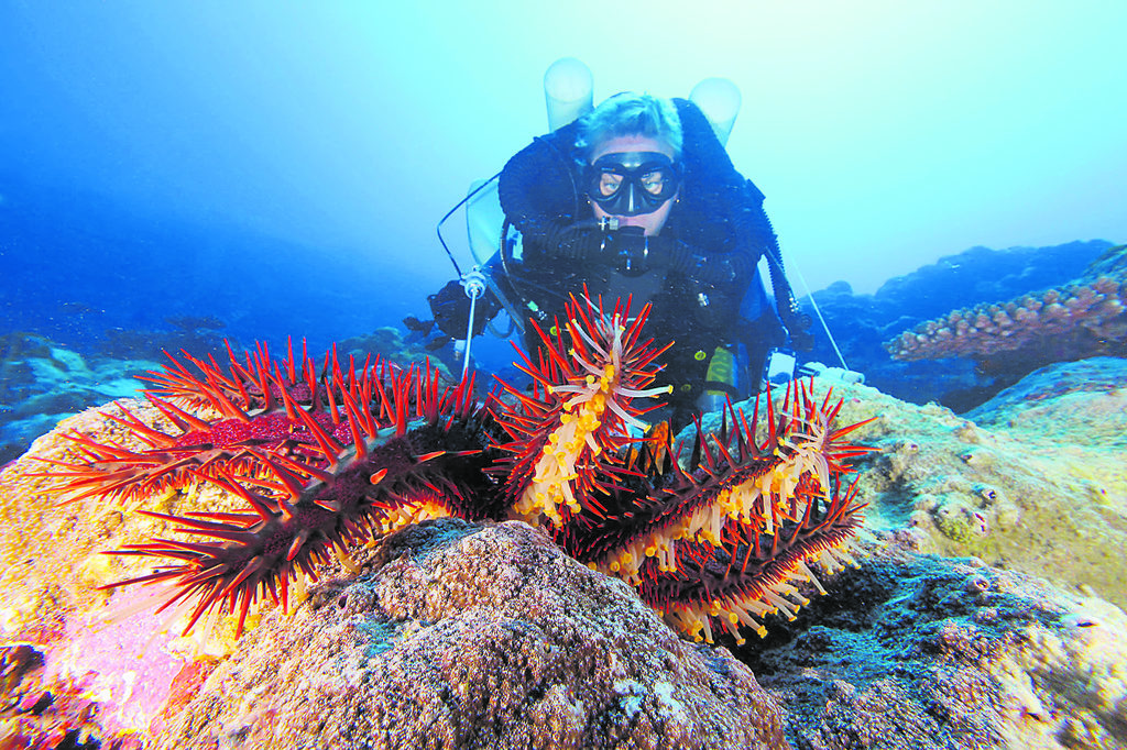 TOURISM TALANOA | Breathing under pressure