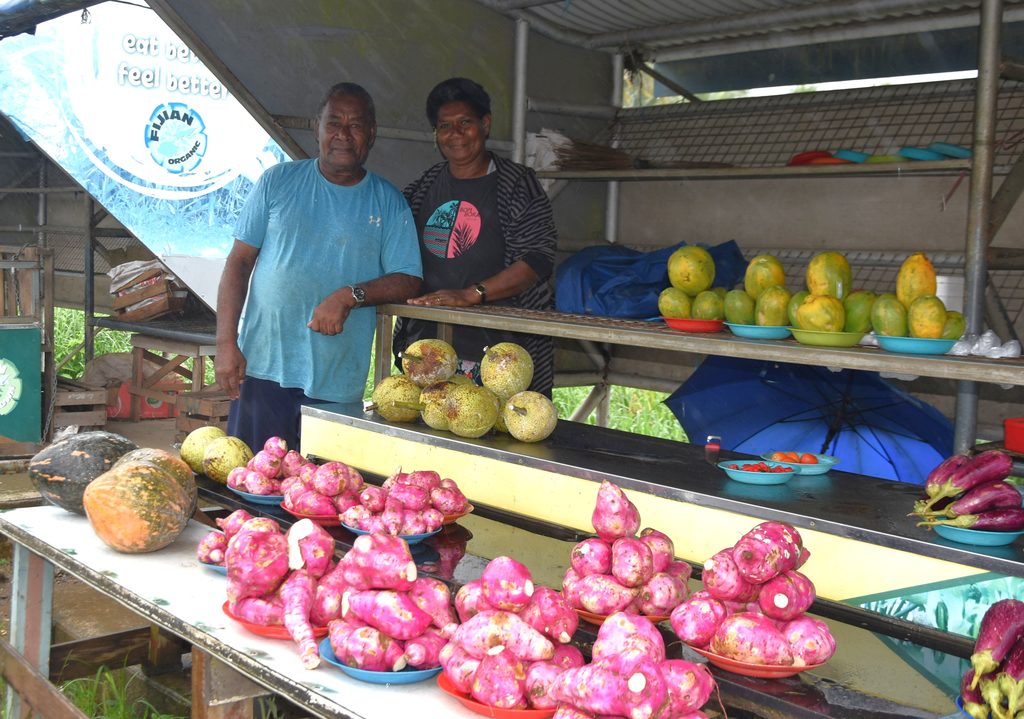 Ame’s market journey continues | A farmer’s determination to make ends meets – The Fiji Times