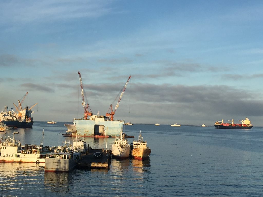 SHIPPING TIMES | Global treaty to protect ocean life