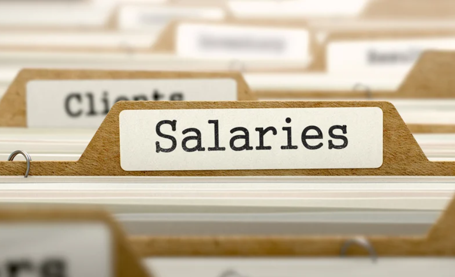 CEO salaries of 8 government entities put under Higher Salaries Commission