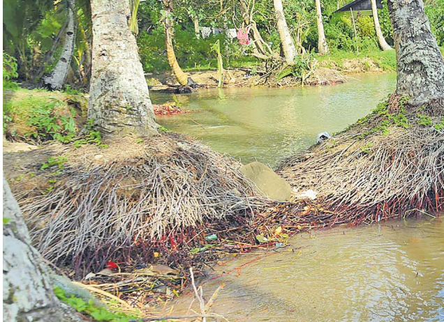 NEWS FEATURE | $142.7m boost to climate action efforts