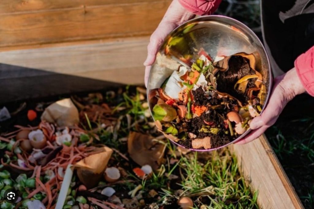 TIMES SHOPPER | The importance of composting food waste – The Fiji Times TIMES SHOPPER | The importance of composting food waste – The Fiji Times