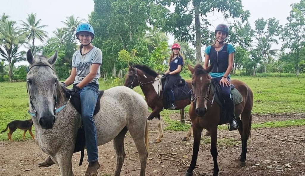 FOCUS | The man behind Fiji’s horse sanctuary
