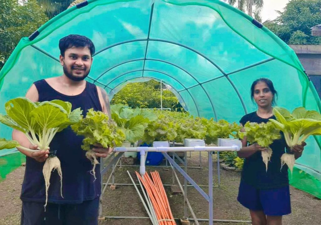 Taveuni’s smart farming harvest