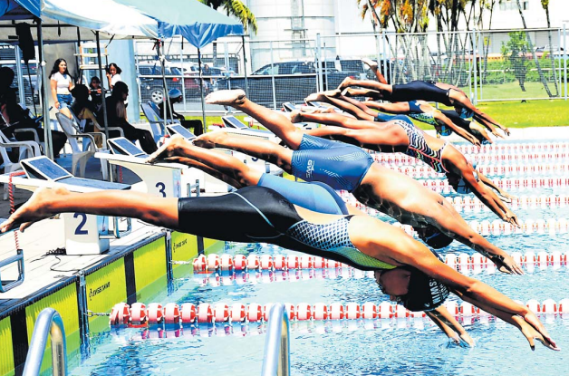 Swimmers back in the pool