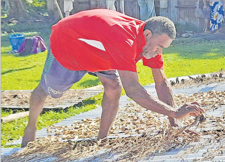 Move to regulate yaqona industry