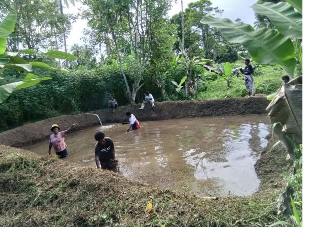 Making an impact in their communities - The Fiji Times