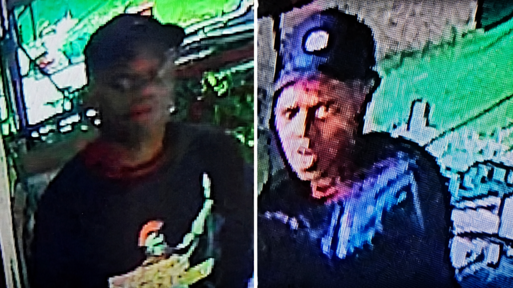 Two alleged robbers sought after Suva home invasion - The Fiji Times