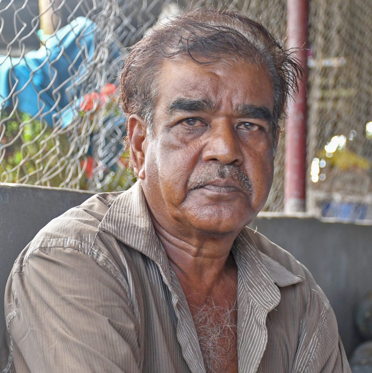 Harvest fears grow fast - The Fiji Times
