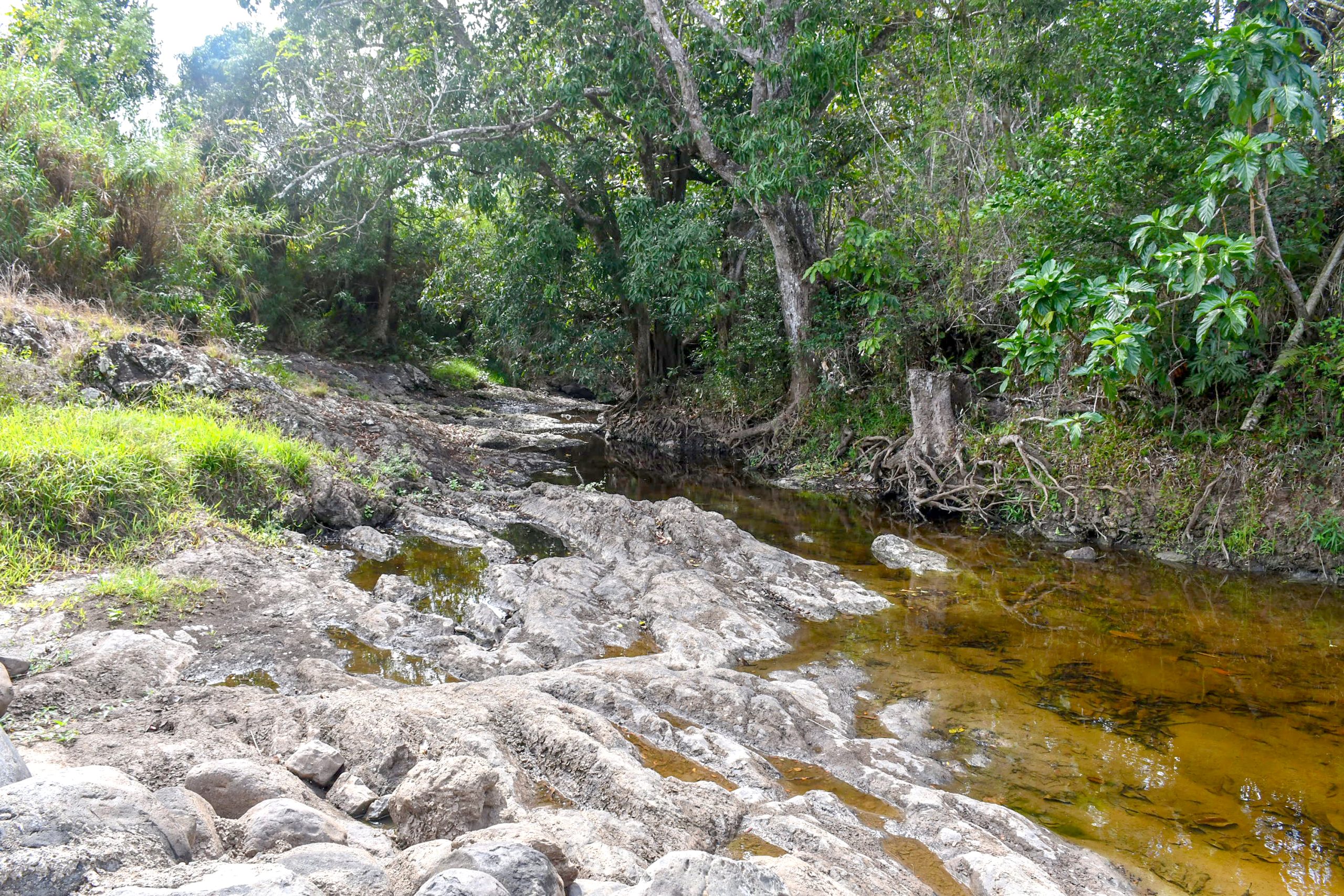 Boreholes run critically low - The Fiji Times